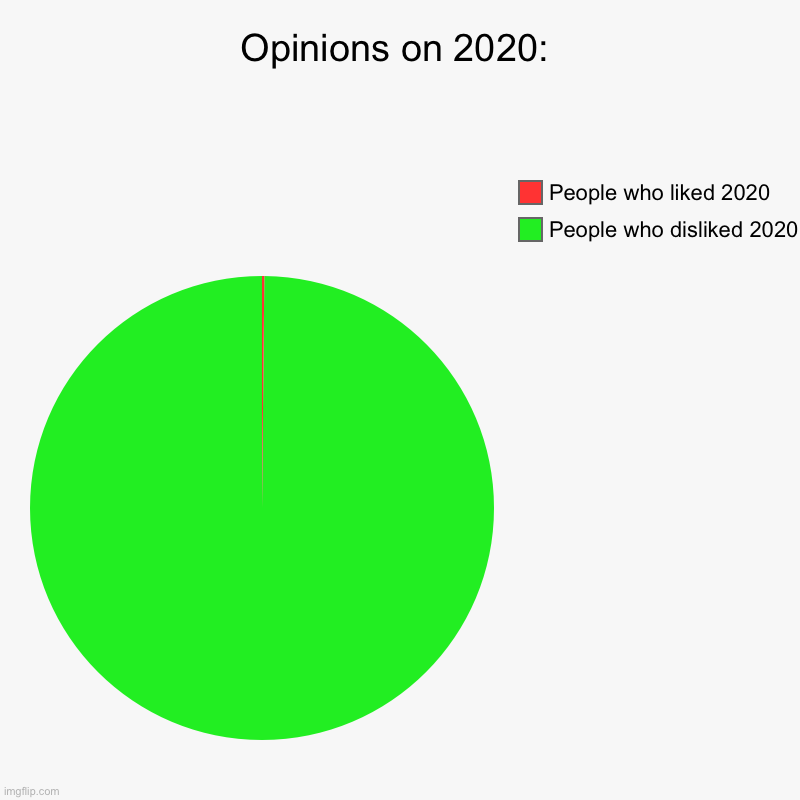 Opinions on 2020: | People who disliked 2020, People who liked 2020 | image tagged in charts,pie charts | made w/ Imgflip chart maker