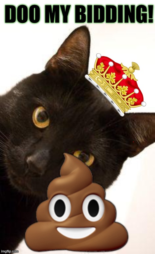 Doo my bidding! | DOO MY BIDDING! 💩 | image tagged in black cat being catty,king cat,cats,black,lives,matter | made w/ Imgflip meme maker