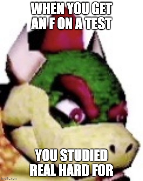 oof | WHEN YOU GET AN F ON A TEST; YOU STUDIED REAL HARD FOR | image tagged in oof bowser | made w/ Imgflip meme maker