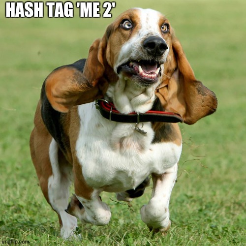 HASH TAG 'ME 2' | made w/ Imgflip meme maker