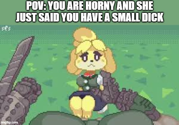 then show her | POV: YOU ARE HORNY AND SHE JUST SAID YOU HAVE A SMALL DICK | made w/ Imgflip meme maker