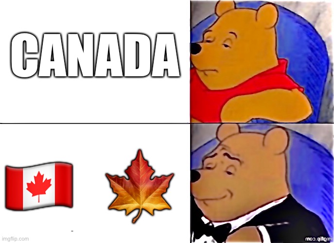 Tuxedo Pooh Canada | CANADA; 🇨🇦  🍁 | image tagged in poo pooh meme | made w/ Imgflip meme maker