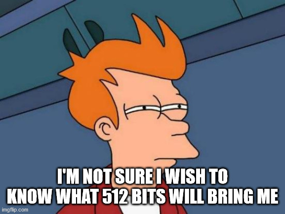 Futurama Fry Meme | I'M NOT SURE I WISH TO KNOW WHAT 512 BITS WILL BRING ME | image tagged in memes,futurama fry | made w/ Imgflip meme maker