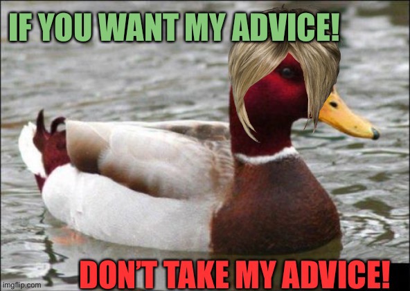 My advice = don’t take my advice! | image tagged in malicious advice mallard,duck,duckling,bad advice,good advice mallard,advice | made w/ Imgflip meme maker