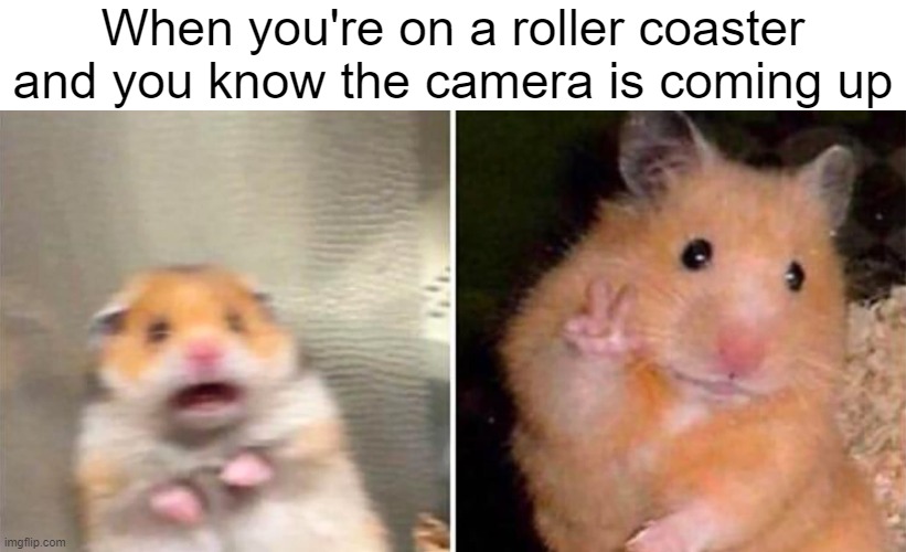 When u on a roller coaster and the camera comes up | When you're on a roller coaster and you know the camera is coming up | image tagged in roller coaster | made w/ Imgflip meme maker
