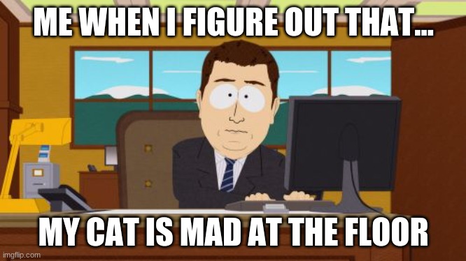 Aaaaand Its Gone | ME WHEN I FIGURE OUT THAT... MY CAT IS MAD AT THE FLOOR | image tagged in memes,aaaaand its gone,cats | made w/ Imgflip meme maker