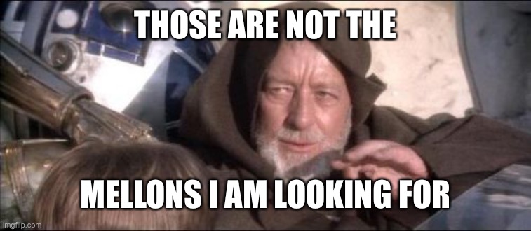 These Aren't The Droids You Were Looking For Meme | THOSE ARE NOT THE MELLONS I AM LOOKING FOR | image tagged in memes,these aren't the droids you were looking for | made w/ Imgflip meme maker
