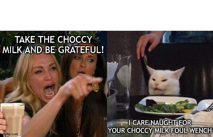 For all my fellow insomniacs that should be in bed right now... | TAKE THE CHOCCY MILK AND BE GRATEFUL! I CARE NAUGHT FOR YOUR CHOCCY MILK FOUL WENCH | image tagged in memes,woman yelling at cat,choccy milk,karen,ungrateful | made w/ Imgflip meme maker