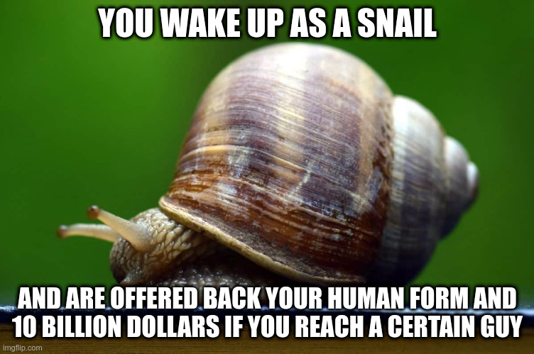 Challenge accepted | YOU WAKE UP AS A SNAIL; AND ARE OFFERED BACK YOUR HUMAN FORM AND 10 BILLION DOLLARS IF YOU REACH A CERTAIN GUY | image tagged in snail | made w/ Imgflip meme maker