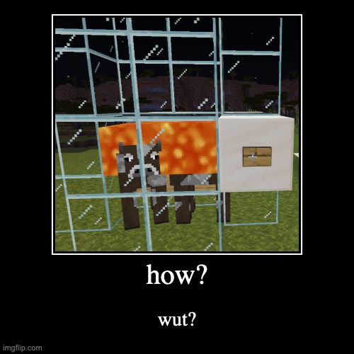 wut? | image tagged in funny,demotivationals | made w/ Imgflip demotivational maker
