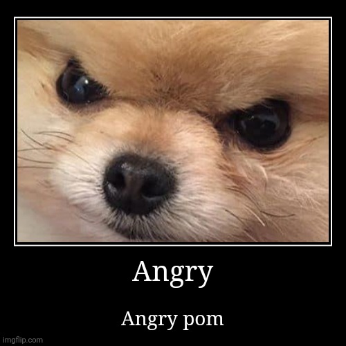 image tagged in funny,demotivationals | made w/ Imgflip demotivational maker