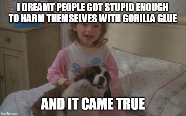 And it came true | I DREAMT PEOPLE GOT STUPID ENOUGH TO HARM THEMSELVES WITH GORILLA GLUE; AND IT CAME TRUE | image tagged in and it came true | made w/ Imgflip meme maker