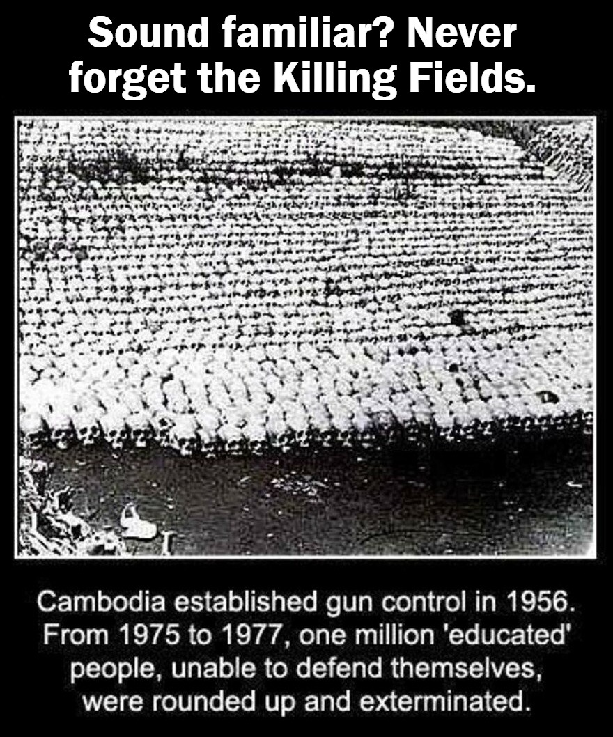 Sound familiar? Never forget the Killing Fields. | Sound familiar? Never forget the Killing Fields. | image tagged in the killing fields,cambodia,genocide,gun control,2nd amendment,gun rights | made w/ Imgflip meme maker