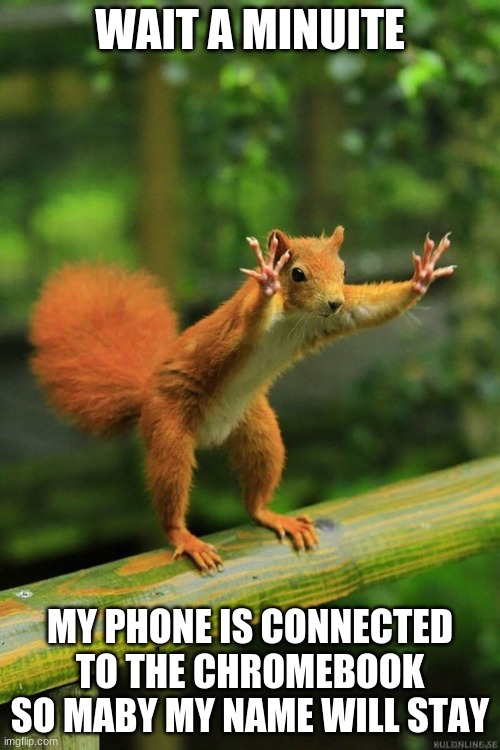 hold up | WAIT A MINUITE; MY PHONE IS CONNECTED TO THE CHROMEBOOK SO MABY MY NAME WILL STAY | image tagged in wait a minute squirrel | made w/ Imgflip meme maker