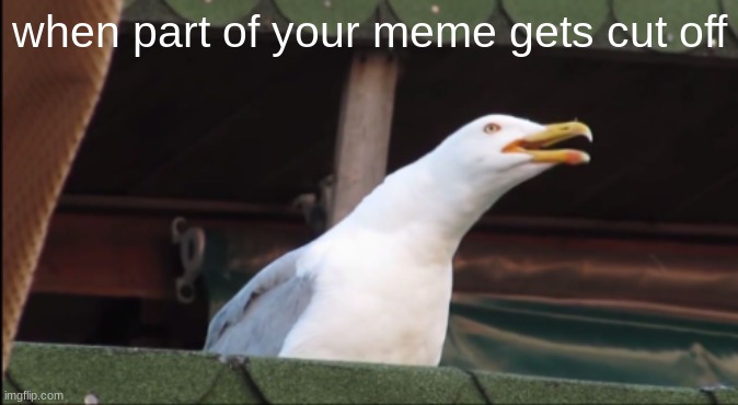 oh n | when part of your meme gets cut off | image tagged in inhaling seagull,not funny | made w/ Imgflip meme maker