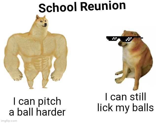 School Reunion | School Reunion; I can still lick my balls; I can pitch a ball harder | image tagged in memes,buff doge vs cheems | made w/ Imgflip meme maker