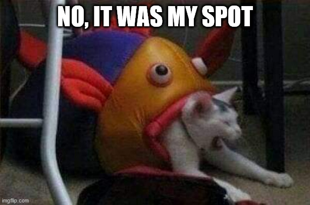 Cat eaten by play-fish | NO, IT WAS MY SPOT | image tagged in cat eaten by play-fish | made w/ Imgflip meme maker