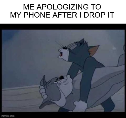 Sarry | ME APOLOGIZING TO MY PHONE AFTER I DROP IT | image tagged in unsettled tom | made w/ Imgflip meme maker