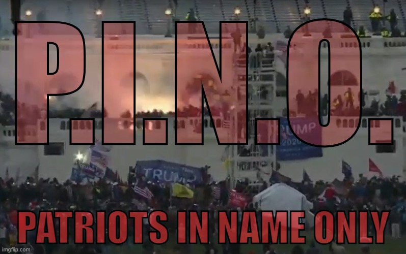 I've seen many claims that some of the less extreme in the party are RINOs. The nations biggest threat lies in PINOs. | P.I.N.O. PATRIOTS IN NAME ONLY | image tagged in capitol riot flash bangs,rino,memes,pino,patriots,phony | made w/ Imgflip meme maker