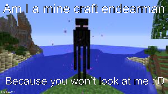 Haha pain | Am I a mine craft endearman; Because you won’t look at me :’D | image tagged in pain | made w/ Imgflip meme maker