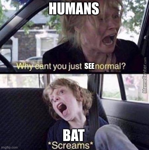 b a t | HUMANS; SEE; BAT | image tagged in why can't you just be normal | made w/ Imgflip meme maker