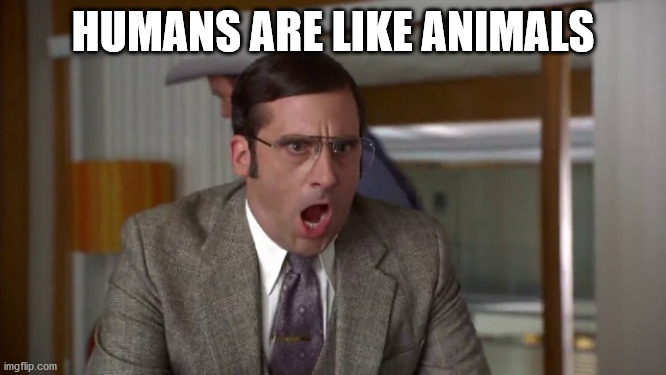 Shouting | HUMANS ARE LIKE ANIMALS | image tagged in shouting | made w/ Imgflip meme maker