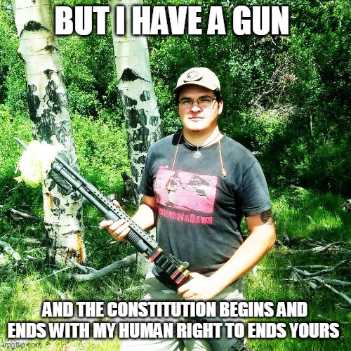 gun nut | BUT I HAVE A GUN AND THE CONSTITUTION BEGINS AND ENDS WITH MY HUMAN RIGHT TO ENDS YOURS | image tagged in gun nut | made w/ Imgflip meme maker
