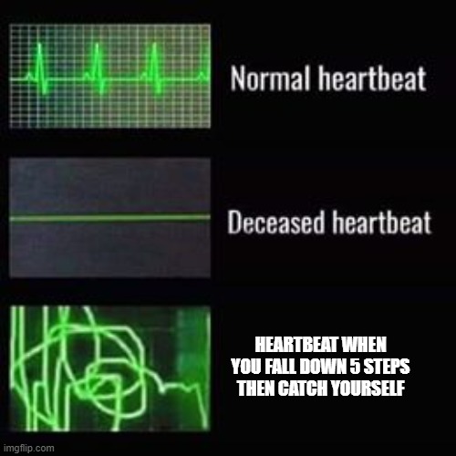 heartbeat rate | HEARTBEAT WHEN YOU FALL DOWN 5 STEPS THEN CATCH YOURSELF | image tagged in heartbeat rate | made w/ Imgflip meme maker