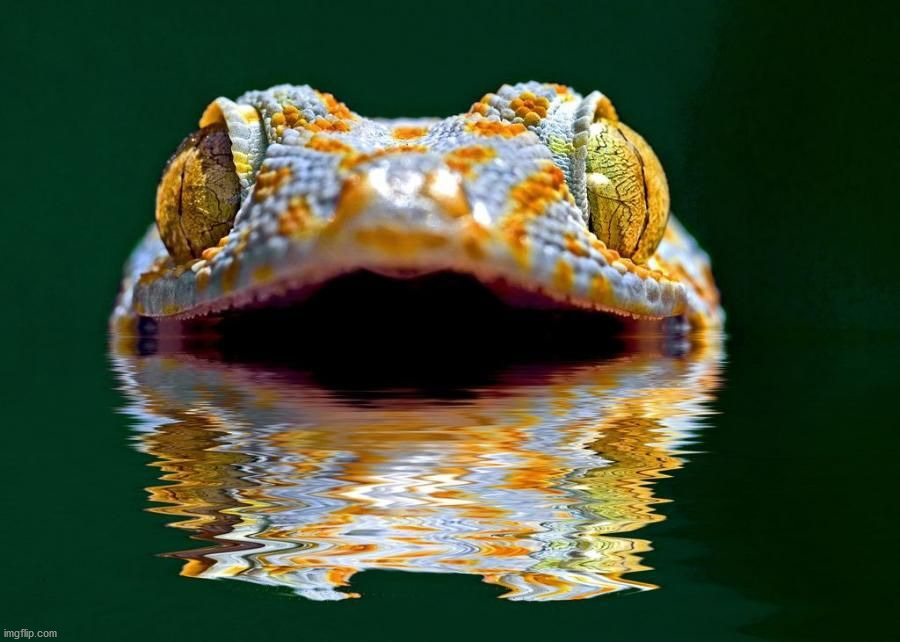 image tagged in awesome | made w/ Imgflip meme maker