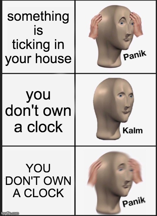 I'm not sure if everyone can get it | something is ticking in your house; you don't own a clock; YOU DON'T OWN A CLOCK | image tagged in memes,panik kalm panik | made w/ Imgflip meme maker
