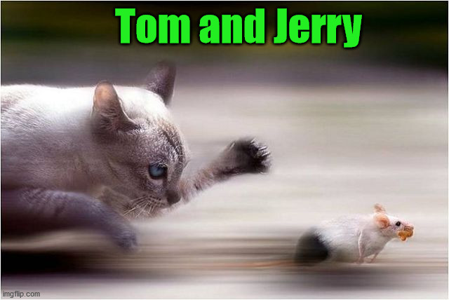 Tom and Jerry | image tagged in cats | made w/ Imgflip meme maker