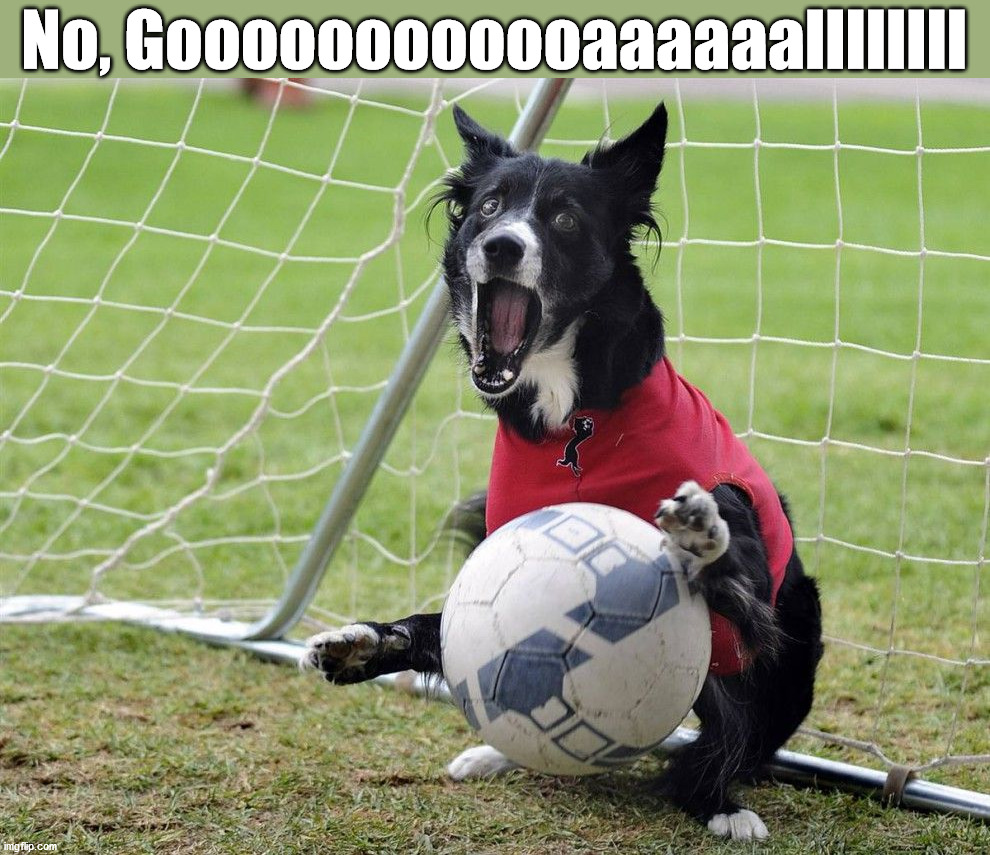 No, Goooooooooooaaaaaallllllll | image tagged in dogs | made w/ Imgflip meme maker