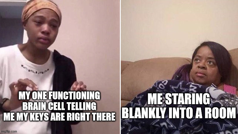 now, what did I come in here for? | MY ONE FUNCTIONING BRAIN CELL TELLING ME MY KEYS ARE RIGHT THERE; ME STARING BLANKLY INTO A ROOM | image tagged in me explaining to my mom | made w/ Imgflip meme maker