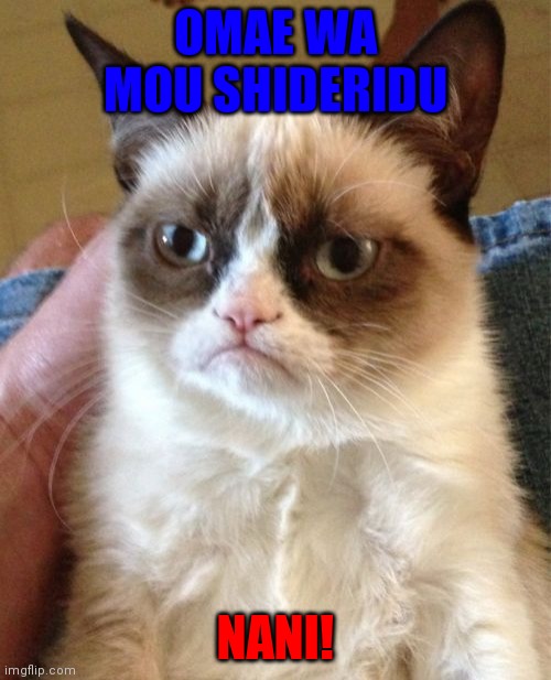 WHEN YOU WATCH A CAT DEAD IN THE EYES | OMAE WA MOU SHIDERIDU; NANI! | image tagged in memes,grumpy cat | made w/ Imgflip meme maker