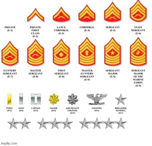 US Marine Ranking/ Imgflip Task Force Ranking | image tagged in us marine ranking/ imgflip task force ranking | made w/ Imgflip meme maker