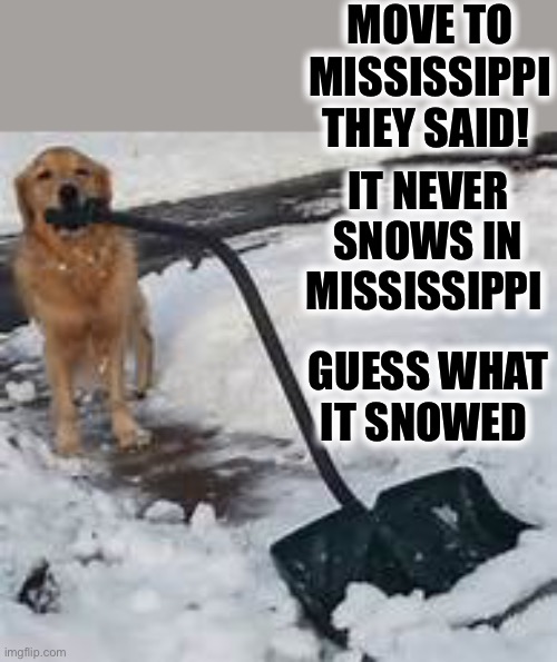 Dog shoveling | MOVE TO MISSISSIPPI THEY SAID! IT NEVER SNOWS IN MISSISSIPPI; GUESS WHAT IT SNOWED | image tagged in dog shoveling | made w/ Imgflip meme maker