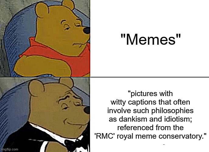 "Memes; a comprehensive lengthened definition" | "Memes"; "pictures with witty captions that often involve such philosophies as dankism and idiotism; referenced from the 'RMC' royal meme conservatory." | image tagged in memes,tuxedo winnie the pooh | made w/ Imgflip meme maker