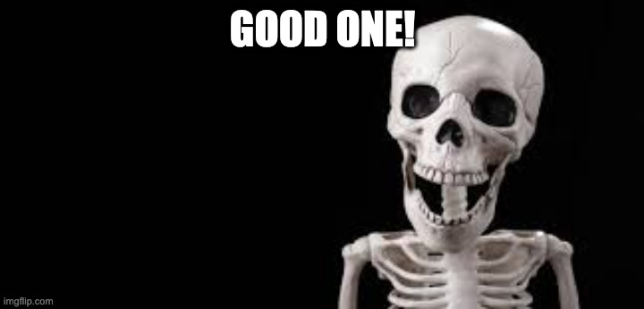 Laughing Skeleton | GOOD ONE! | image tagged in laughing skeleton | made w/ Imgflip meme maker