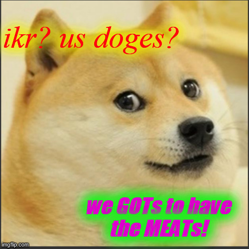 ikr? us doges? we GOTs to have
the MEATs! | made w/ Imgflip meme maker