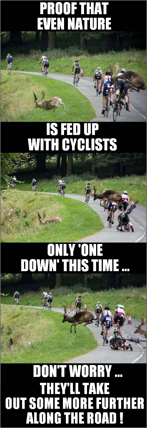 Oh Dear, Oh Deer ! | PROOF THAT EVEN NATURE; IS FED UP WITH CYCLISTS; ONLY 'ONE DOWN' THIS TIME ... DON'T WORRY ... THEY'LL TAKE OUT SOME MORE FURTHER ALONG THE ROAD ! | image tagged in fun,cyclists,deer | made w/ Imgflip meme maker