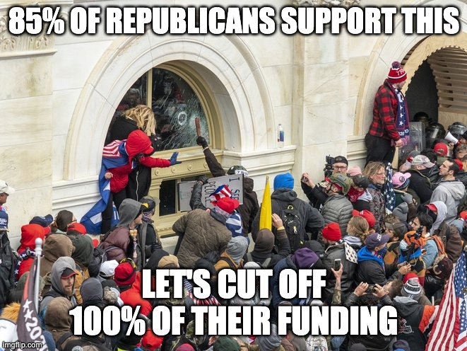 85% of Republicans Support This | 85% OF REPUBLICANS SUPPORT THIS; LET'S CUT OFF 100% OF THEIR FUNDING | image tagged in republicans,gop,insurrectionists | made w/ Imgflip meme maker