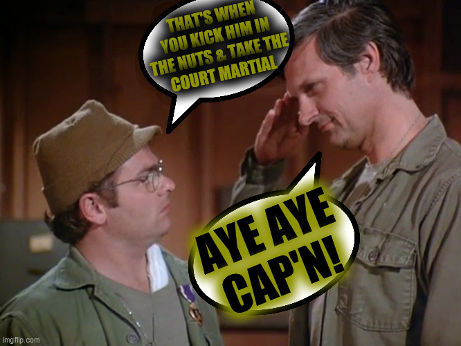 Hawkeye salutes Radar | THAT'S WHEN YOU KICK HIM IN THE NUTS & TAKE THE
COURT MARTIAL AYE AYE
CAP'N! | image tagged in hawkeye salutes radar | made w/ Imgflip meme maker