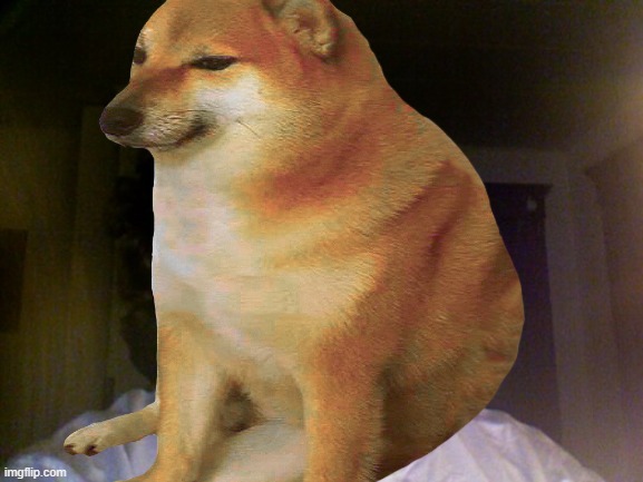 Here we cheems | image tagged in cheems,doge | made w/ Imgflip meme maker