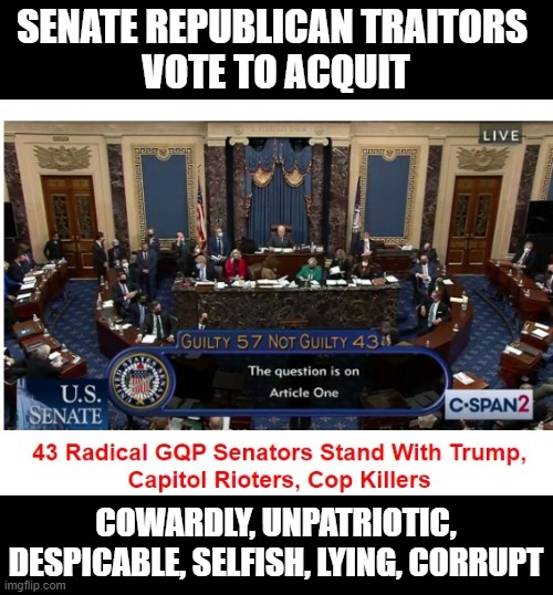 Where is the Rule of Law? | SENATE REPUBLICAN TRAITORS 
VOTE TO ACQUIT; COWARDLY, UNPATRIOTIC, DESPICABLE, SELFISH, LYING, CORRUPT | image tagged in capitol riot,murder,insurrection,sedition,the big lie,traitors | made w/ Imgflip meme maker