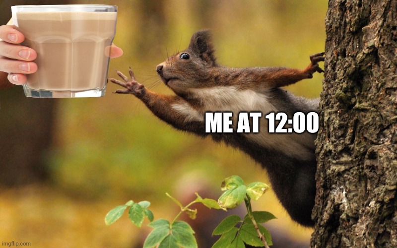 Squirrel reaching for nut | ME AT 12:00 | image tagged in squirrel reaching for nut | made w/ Imgflip meme maker