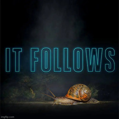 For it to change targets, you need to have sexual intercourse with another, and that another must also have intercourse for it t | image tagged in it follows,snail | made w/ Imgflip meme maker