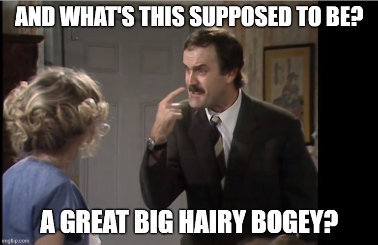 Fawlty Towers | AND WHAT'S THIS SUPPOSED TO BE? A GREAT BIG HAIRY BOGEY? | image tagged in basilfawlty,fawlty towers,john cleese,connie booth,the anniversary | made w/ Imgflip meme maker
