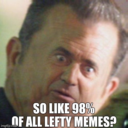 Mel Gibson stunned | SO LIKE 98% OF ALL LEFTY MEMES? | image tagged in mel gibson stunned | made w/ Imgflip meme maker