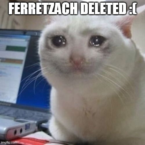 Why :( | FERRETZACH DELETED :( | image tagged in crying cat,sad | made w/ Imgflip meme maker