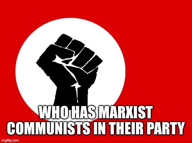 Black lives matter | WHO HAS MARXIST COMMUNISTS IN THEIR PARTY | image tagged in black lives matter | made w/ Imgflip meme maker